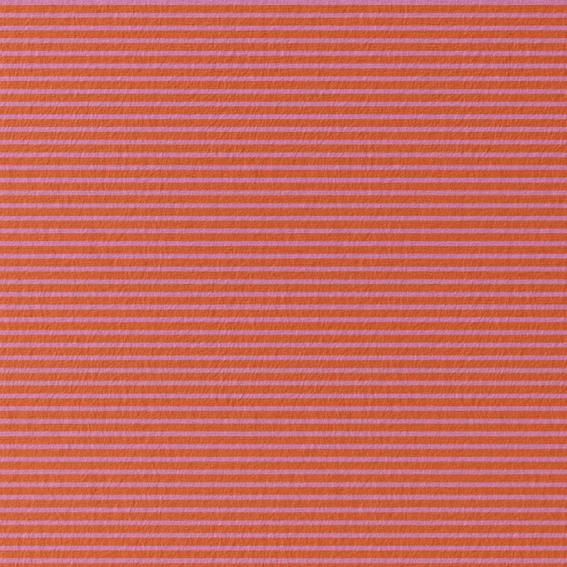 Striped Jersey AIGUEMARINE Tangerine / Candy